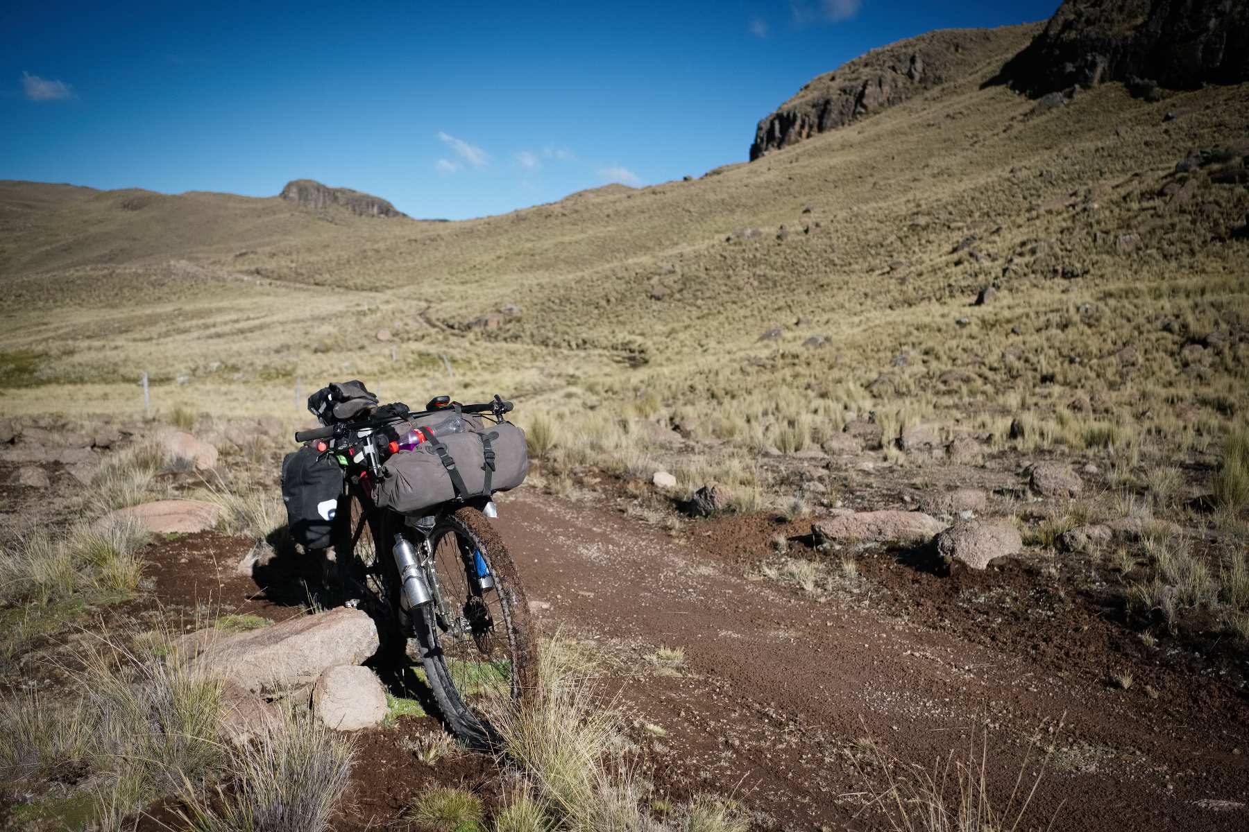 descending singletrack