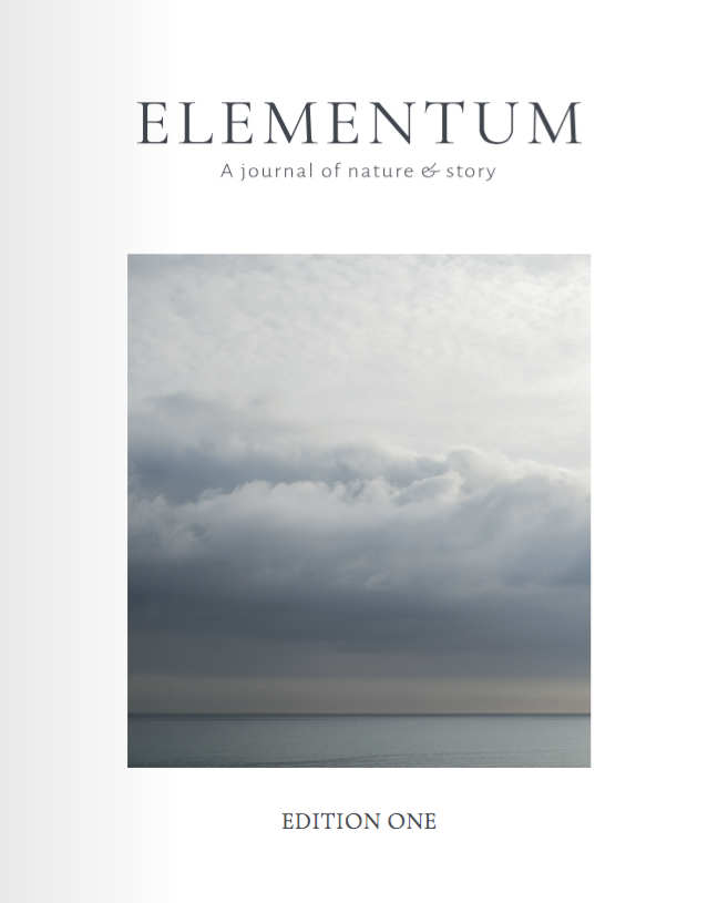 Elementum Edition 1 Cover