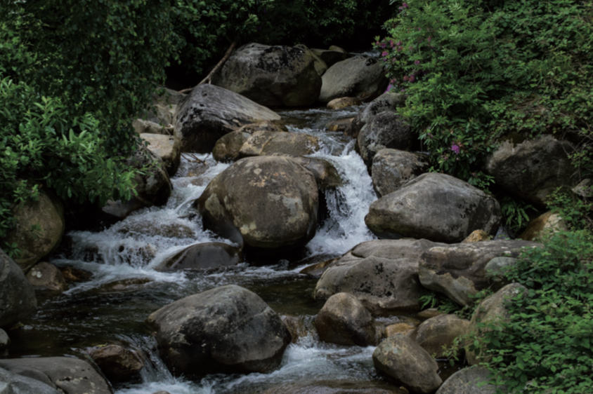 photo of a rocky, woodland stream