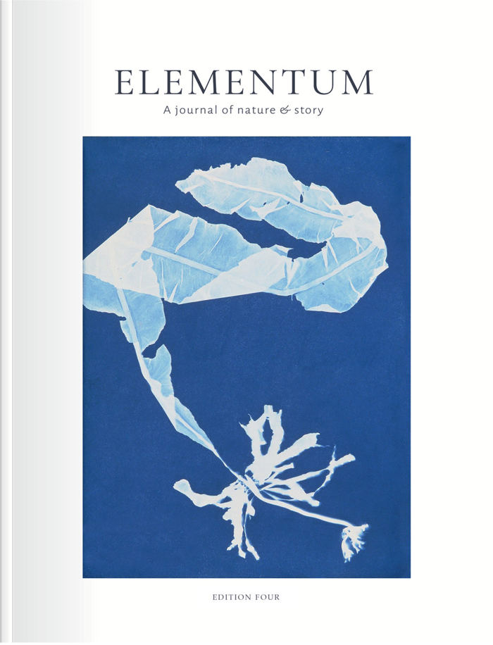 Elementum Edition 4 Cover Picture