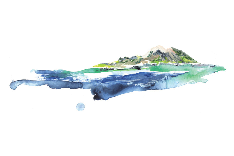 watercolour impressions of the island of mauritius